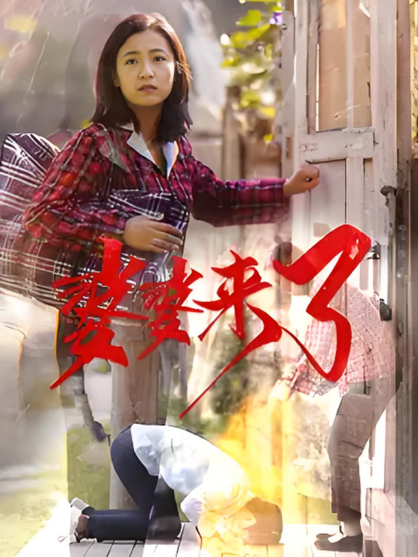 安澜进城封面图