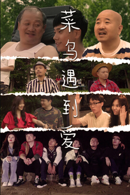 菜鸟遇到爱封面图