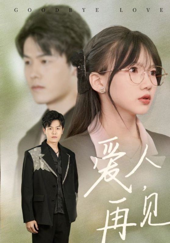 爱人再见封面图