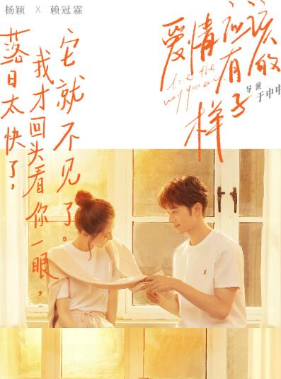 爱情应该有的样子封面图