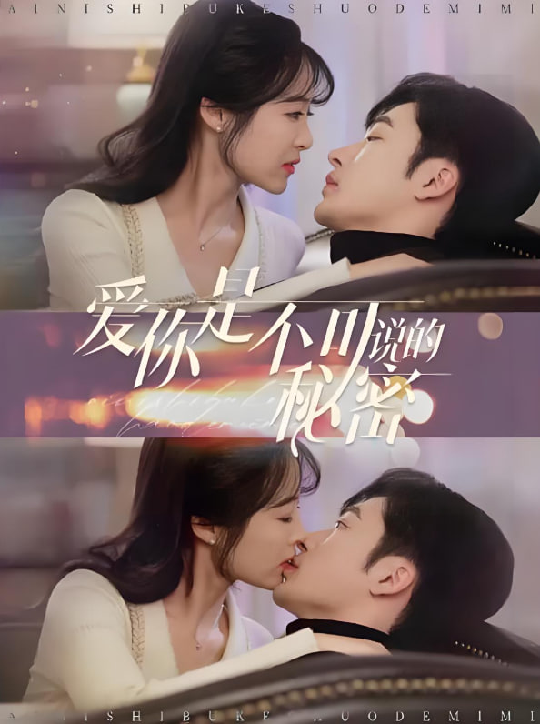 爱你是不可说的秘密封面图