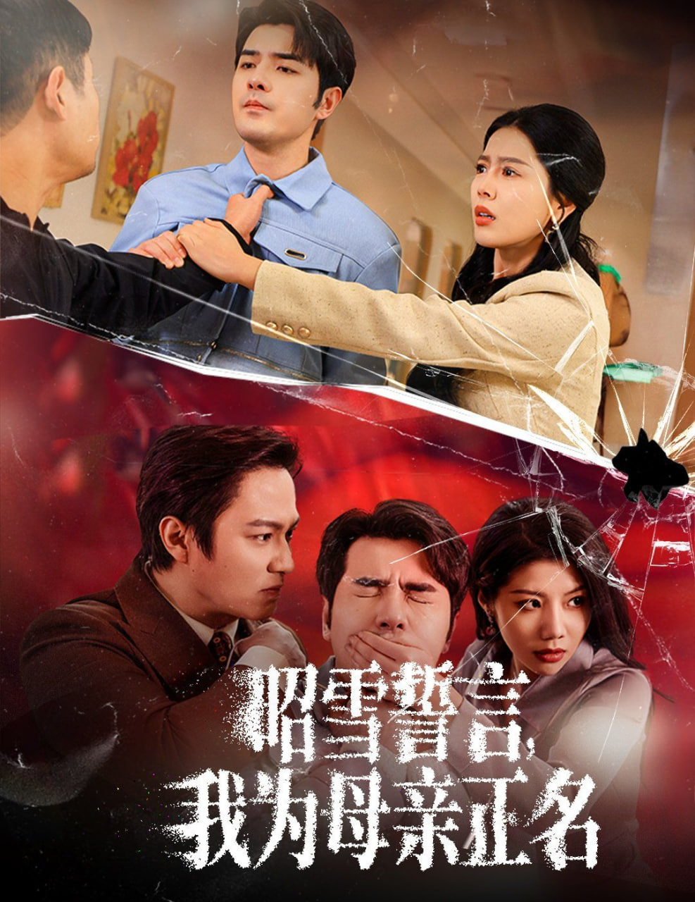 昭雪誓言我为母亲正名封面图