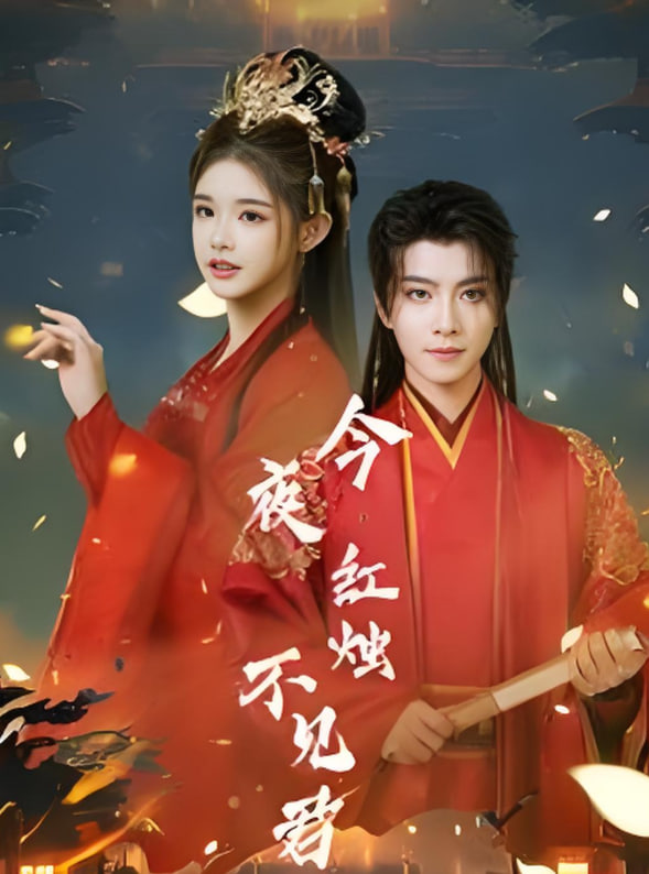 今夜红烛不见君封面图