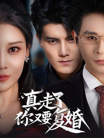 真走了你又要复婚封面图