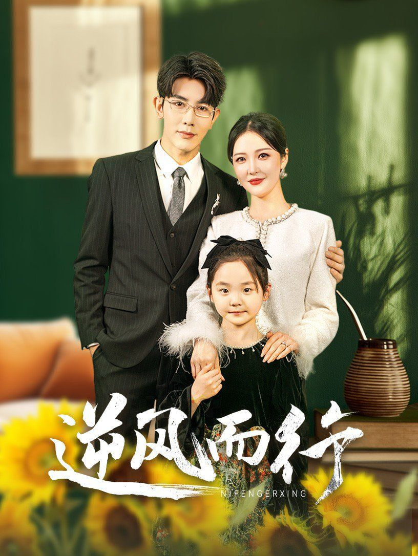 逆风而行封面图