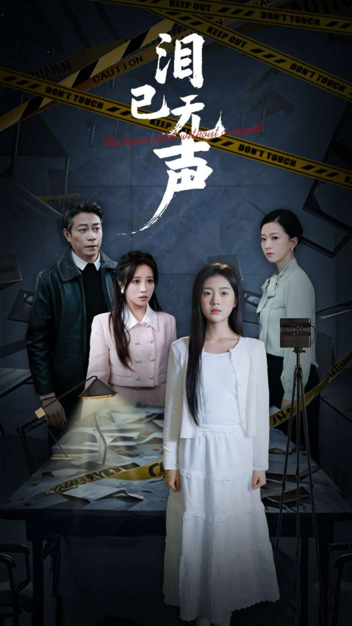 泪已无声封面图