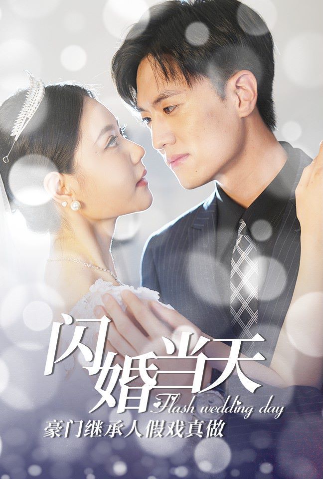 闪婚当天豪门继承人假戏真做封面图