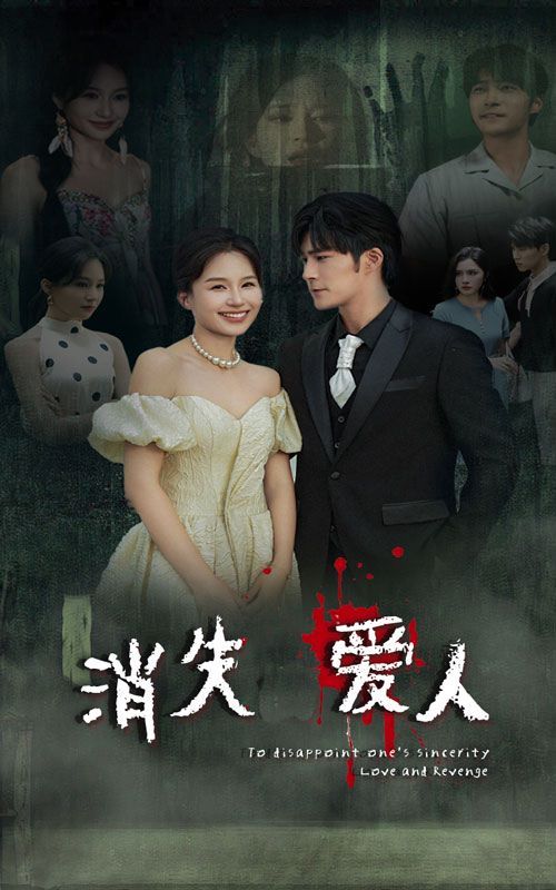 消失爱人封面图