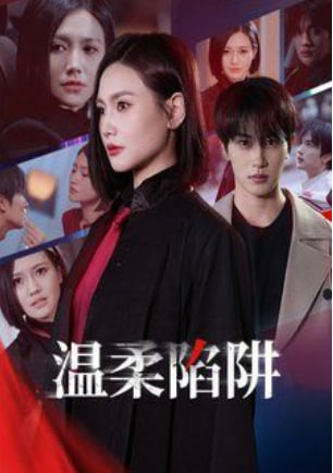 温柔陷阱封面图