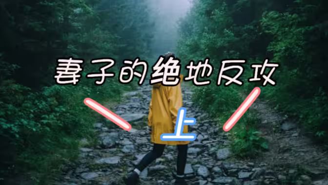 妻子的绝地反攻封面图