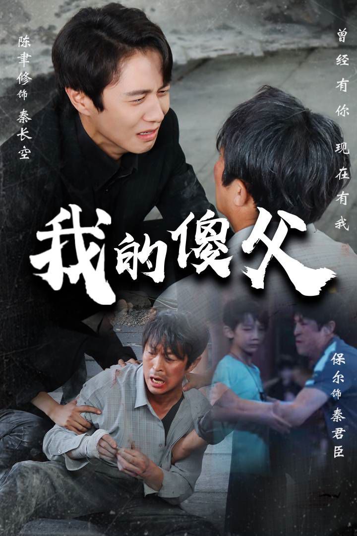 我的傻父封面图