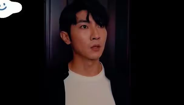 楚门飞婿封面图