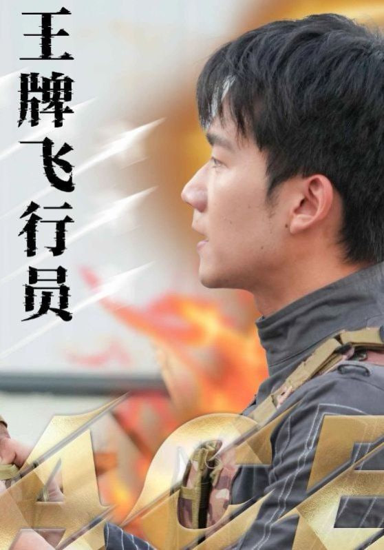 王牌飞行员封面图