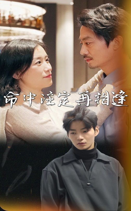 命中注定再相逢封面图