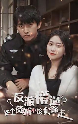 狂医废婿封面图