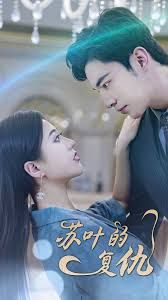 苏叶的复仇封面图