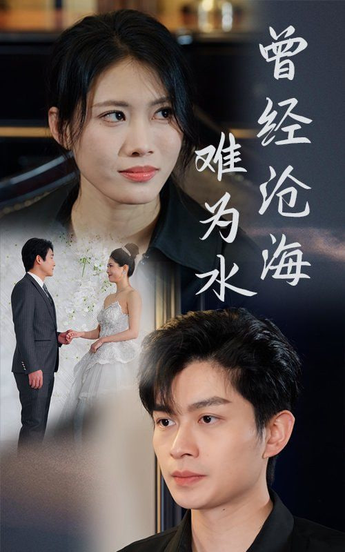 曾经沧海难为水封面图