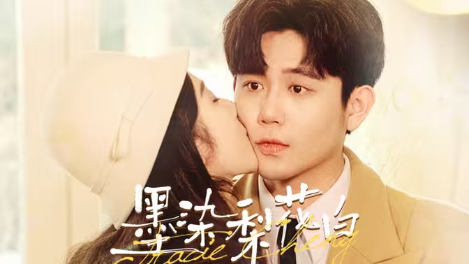 墨染梨花白封面图