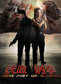 铁血刚拳封面图