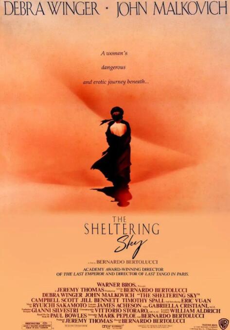 遮蔽的天空封面图