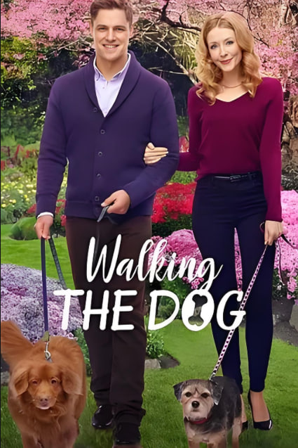 遛狗封面图