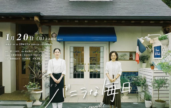 香草的每天封面图