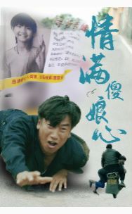 情满傻娘心封面图