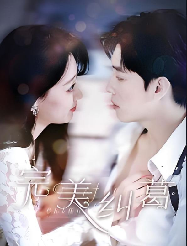 完美纠葛封面图