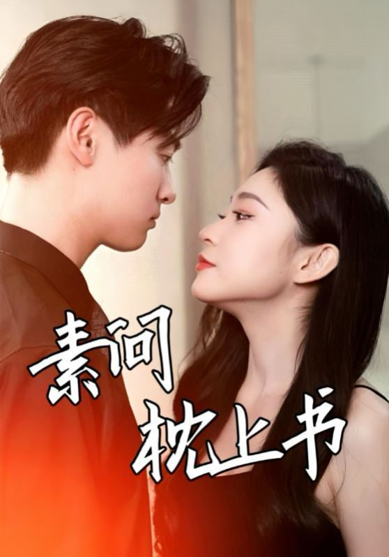 素问枕上书封面图