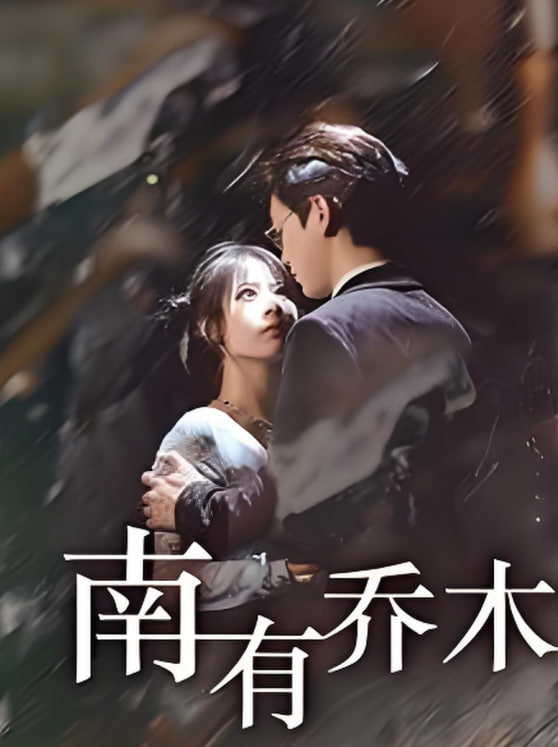 南有乔木封面图