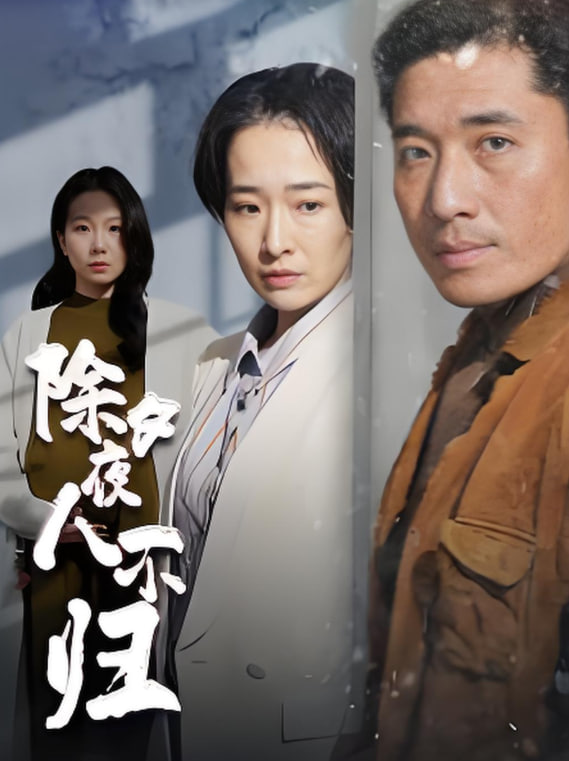 除夕夜人不归封面图