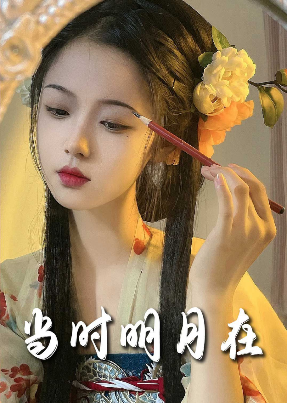 明月照南星（当时明月在）封面图