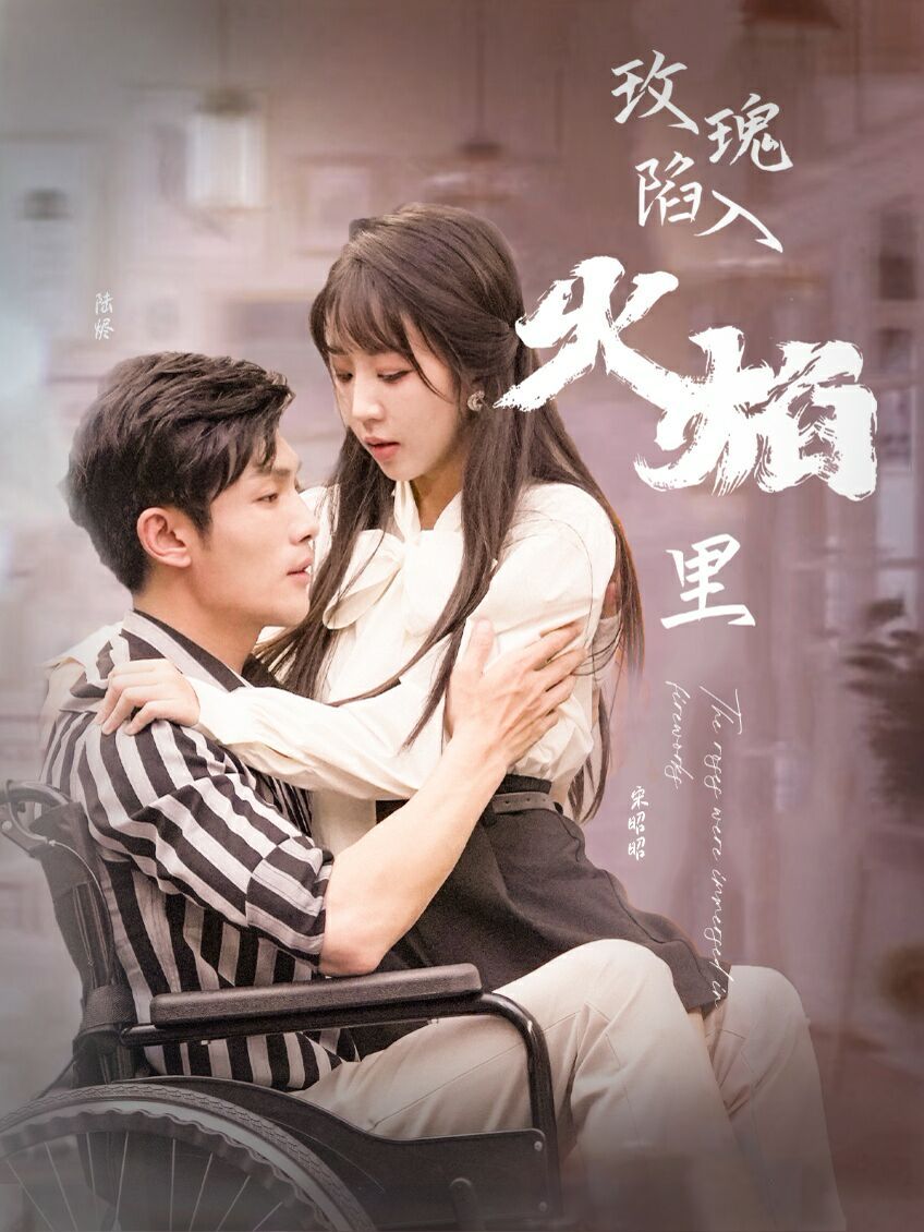 新玫瑰陷入火焰里封面图