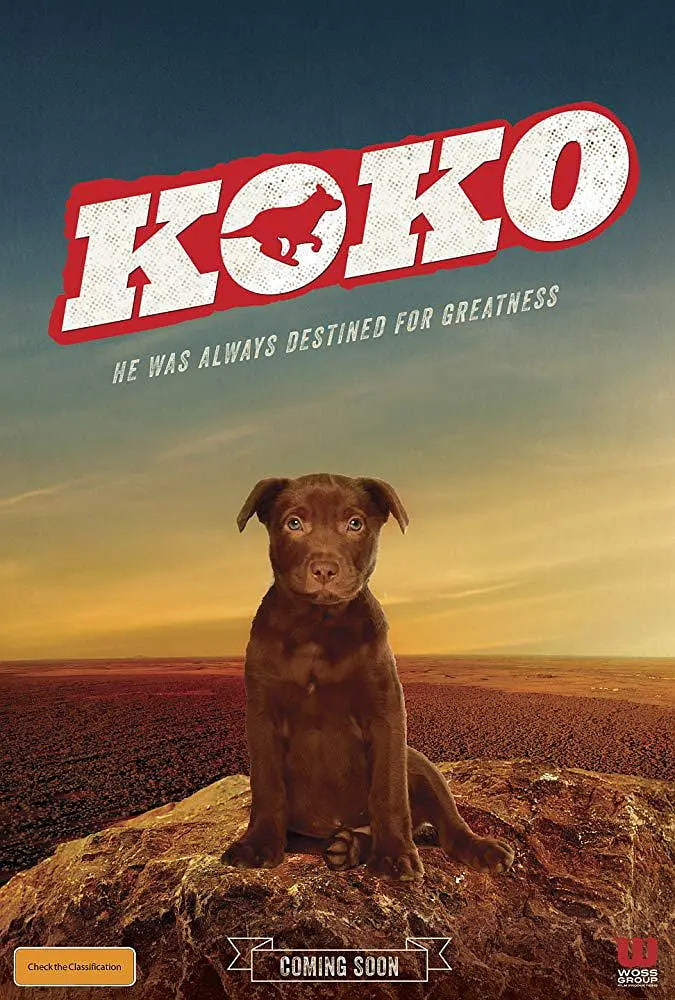 Koko:红犬历险记封面图