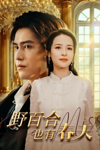 野百合也有春天封面图