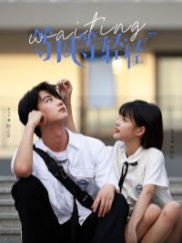 等风等轻轻封面图