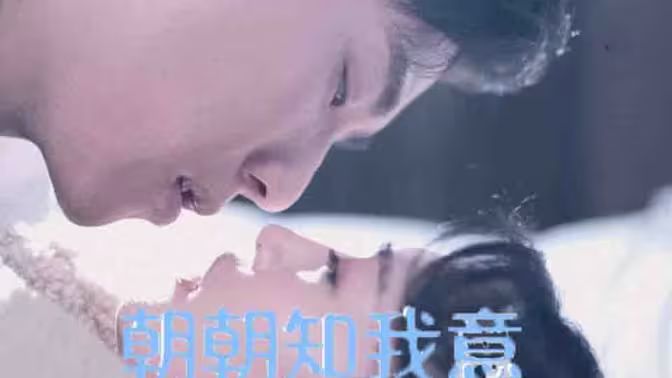 朝朝知我意封面图