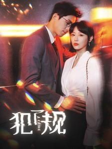 犯了规封面图