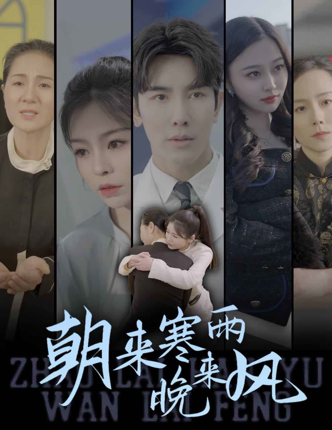 朝来寒雨晚来风封面图