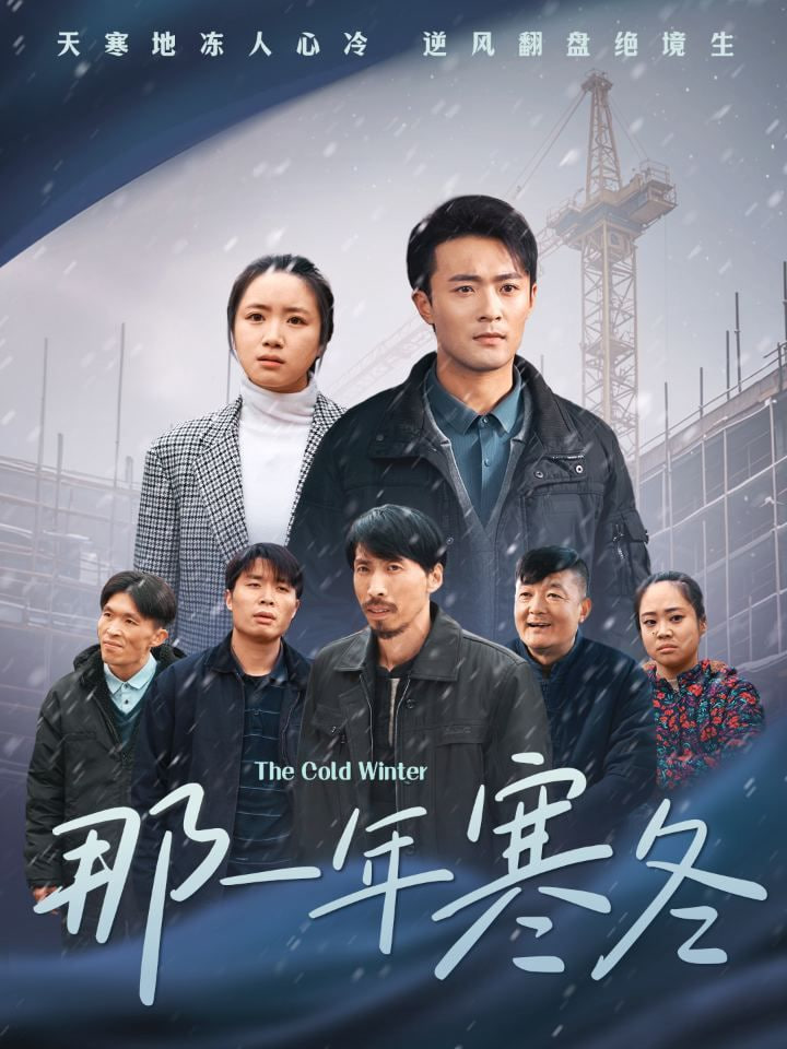 那一年寒冬封面图