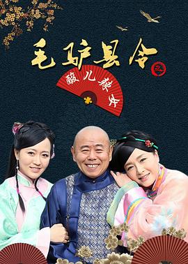 毛驴县令之酸儿辣女封面图