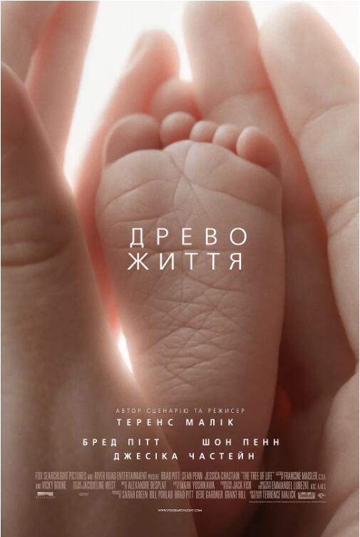 生命之树封面图