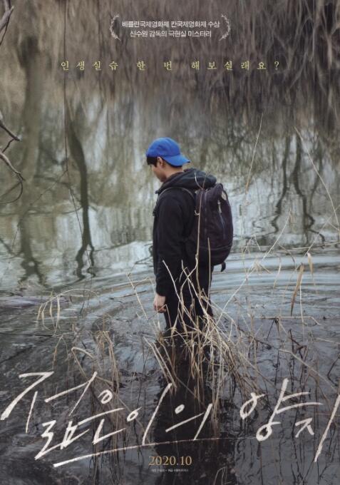 青春之光封面图