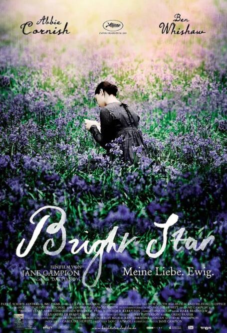 明亮的星封面图