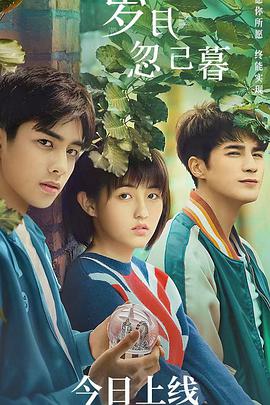 岁月忽已暮封面图