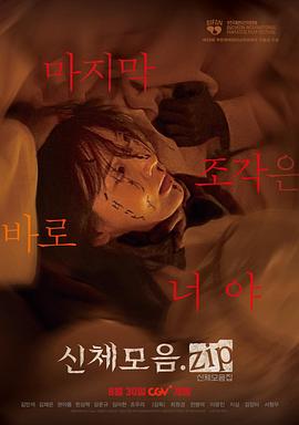 身体集合封面图