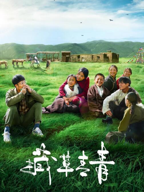 藏草青青封面图