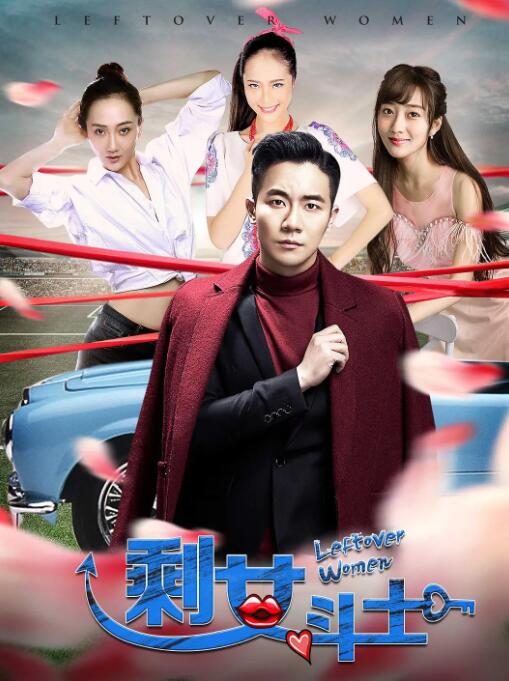 剩女斗士封面图