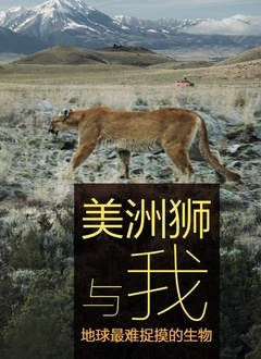 美洲狮与我封面图