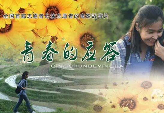 青春的应答封面图